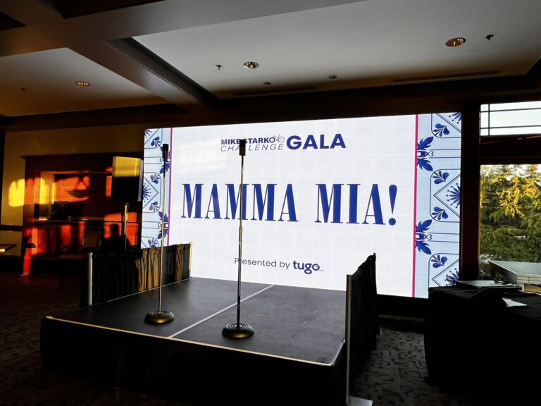 Rental LED Wall Screen Displays!.